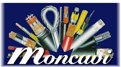 old moncavi logo